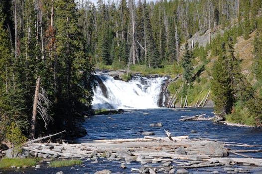 Yellowstone Lewis Falls - far view