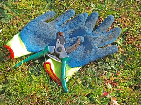 pruning scissors and gloves in the grass