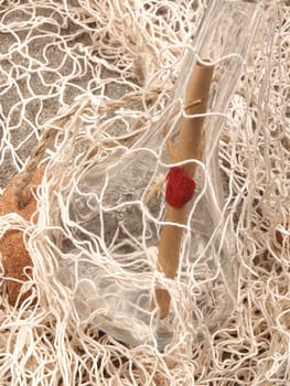 message in the bottle in the fishing net on the sand beach