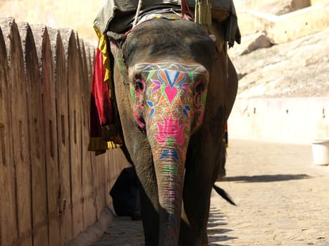 painted elephant in Jaipur,India