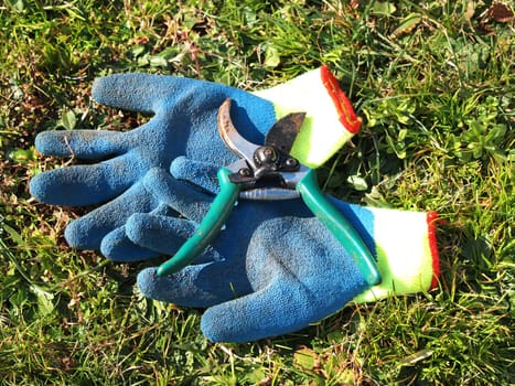 gloves and shears in the grass