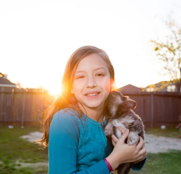 Children kid girl playing with puppy dog hairy chihuahua in backyard sunset