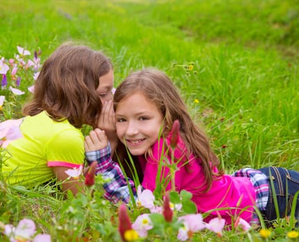 happy twin sister girls playing whispering ear on spring flowers meadow