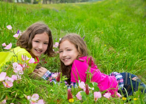 happy twin sister girls playing lying on spring flowers meadow