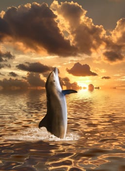 Dolphin floating at ocean