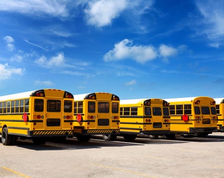 American typical school bus rear view in a row under blue sky day