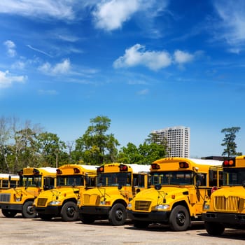 American typical school buses in a row in a parking lot