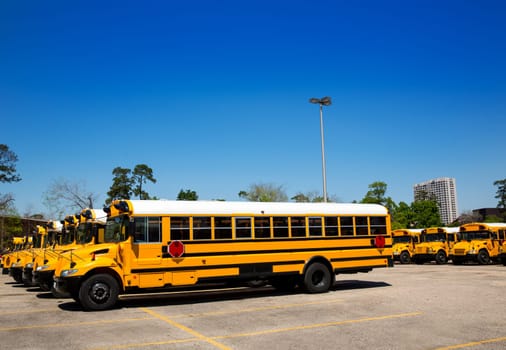 American typical school buses in a row in a parking lot