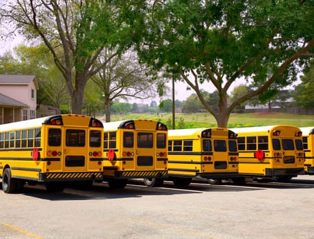 American typical school buses in a row in a park outdoor