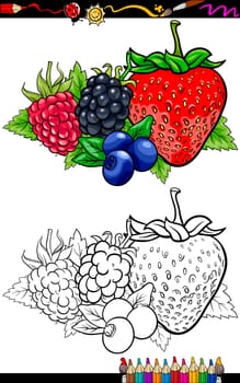Coloring Book or Page Cartoon Illustration of Four Berry Fruits like Blueberry and Blackberry and Raspberry and Strawberry Food Group for Children Education