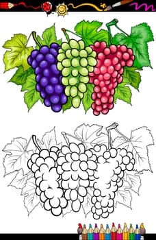 Coloring Book or Page Cartoon Illustration of Three Bunches of White and Red and Black or Blue Grapes or Grapevine Fruit Food Group for Children Education