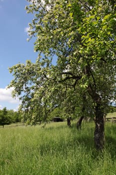 Staff Landscape Park in Lemgo