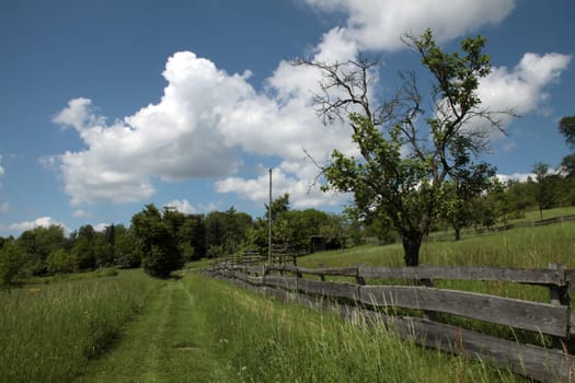 Staff Landscape Park in Lemgo