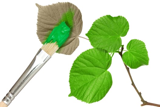 Brush painting a tree branch with leaves. Isolated on white background