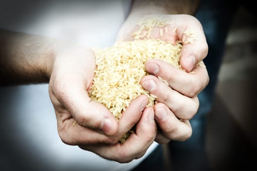 Rice
