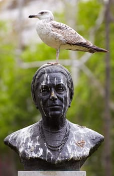 Photo of a Seagull on statue in Trieste