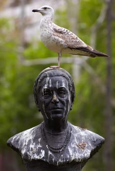 Photo of a Seagull on statue in Trieste