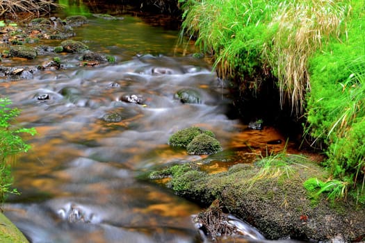 Mountain stream in the Harz National Park