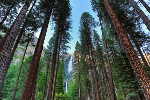 Yosemite Falls