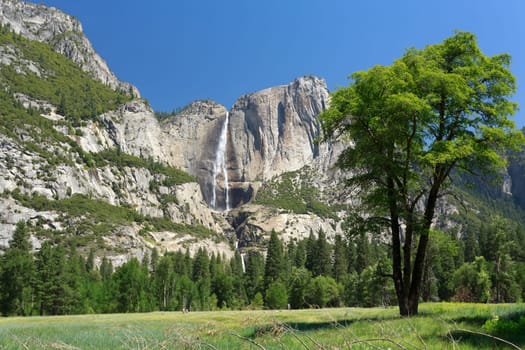 Yosemite Falls