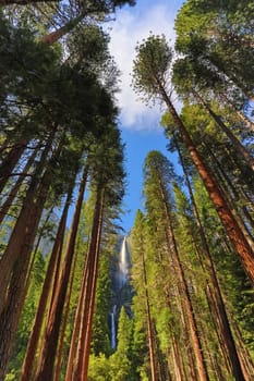 Yosemite Falls