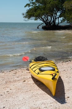 Kayak in the Everglades in the Ten Thousand Islands of Florida.