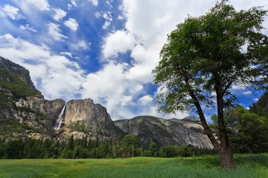 Yosemite Falls