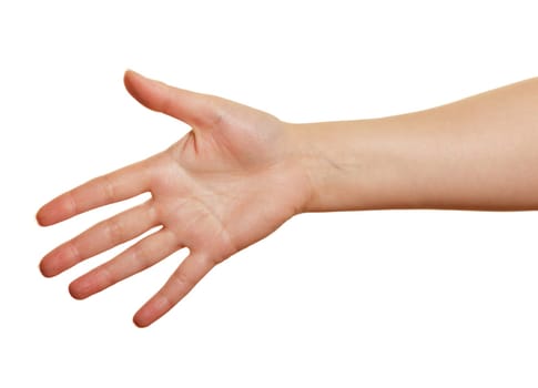 woman's hand on a white background. open palm