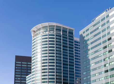 modern office building in the business district of Rotterdam