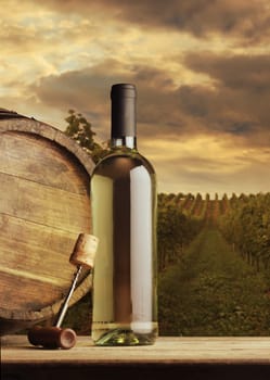 Wine bottle on vineyard background