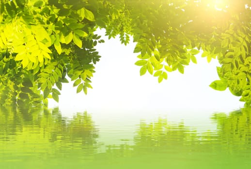 Abstract natural backgrounds for your design