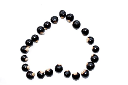 Close up of longan seed heart on a white background