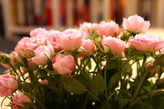 Bunch of small pink Roses