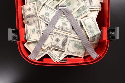 A Suitcase with lots of dollars.
