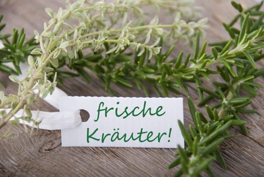 a white label with the german word frische Kraeuter which means fresh herbs with herbs in the background