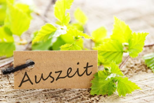 a natural looking label with green leaves and wood as background