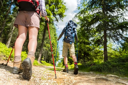 Young hikers walking with trekking poles