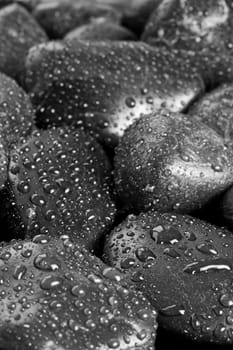 Black Stones