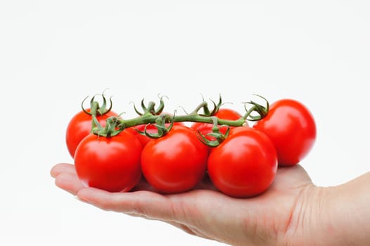 Cocktail tomatoes