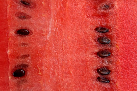 piece of fresh watermelon