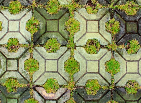 background of Green grass and brick