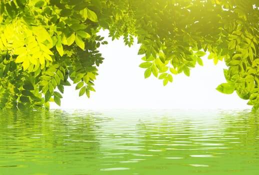 Abstract natural backgrounds for your design