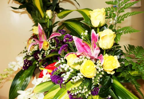 Summer flower background