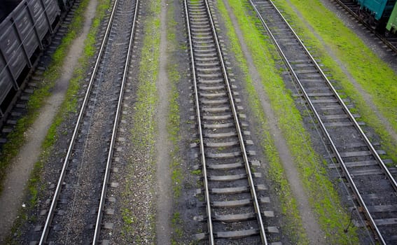 Photo of Railways on grass