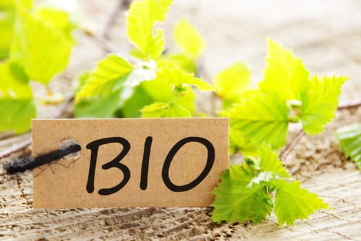 a natural looking label with green leaves and wood as background