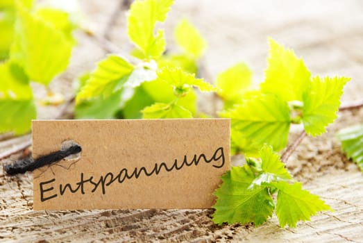 a natural looking label with green leaves and wood as background