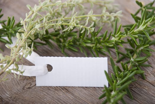 a white label with copy space and herbs in the background