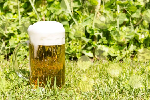 Glass with beer and white froth on the green grass