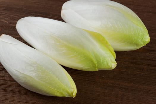 chicory