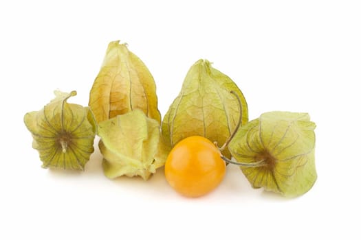 physalis